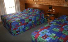 Newell Motor Inn - Narrandera - Accommodation Cooktown 1