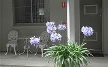 Pine Lodge Motel - Woolgoolga - Accommodation Cooktown 0