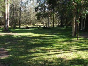 Jervis Bay Cabins And Hidden Creek Real Camping - Accommodation Cooktown 5