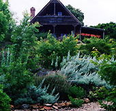 Country Charm Swiss Cottages - Accommodation Cooktown