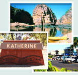 Red Gum Tourist Park - Accommodation Cooktown