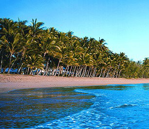 Novotel Palm Cove Resort - Accommodation Cooktown 1