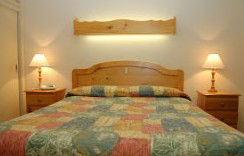 Best Western Fawkner Airport Motor Inn & Serviced Apartments - Accommodation Cooktown 1