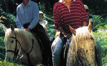 Cooby Springs Country Retreat - Accommodation Cooktown 1