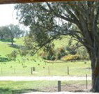 Hosanna Farm Retreat - Accommodation Cooktown