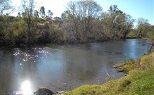 Ambleside Bed And Breakfast Cabins - Accommodation Cooktown 4