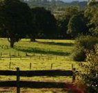 Pines on the Plateau - Accommodation Cooktown