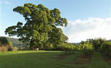 Silos Estate - - Accommodation Cooktown 1
