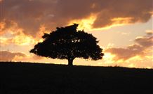 Silos Estate - - Accommodation Cooktown 3