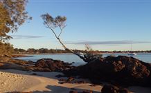 Tree Tops Bed And Breakfast Jervis Bay - Accommodation Cooktown 6