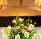 Winton Luxury Bed and Breakfast - Accommodation Cooktown