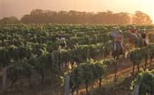 Inlet Anchorage Caravan Park And Cottages - Accommodation Cooktown 6