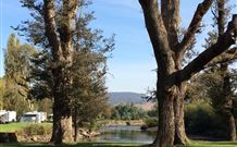 Sand Cottage - Accommodation Cooktown 1