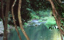 The Dell Blackheath - Accommodation Cooktown 1