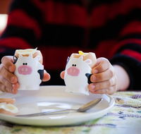 Cosy Cow Farmstay Bed and Breakfast - Accommodation Cooktown