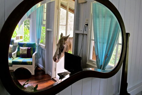 Noosa Avalon Farm Cottages - Accommodation Cooktown 10