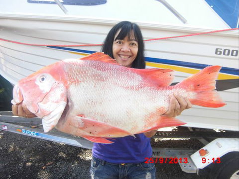 Flying Fish Point Tourist Park - Accommodation Cooktown 6