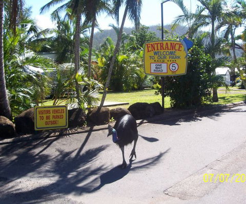 Flying Fish Point Tourist Park - Accommodation Cooktown 9