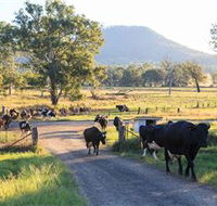Tommerups Dairy Farmstay - Accommodation Cooktown