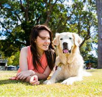 Jacobs Well Tourist Park - Accommodation Cooktown