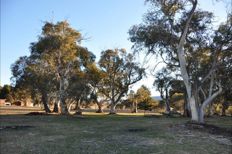 Braemar Bay Holiday Park - Accommodation Cooktown 5