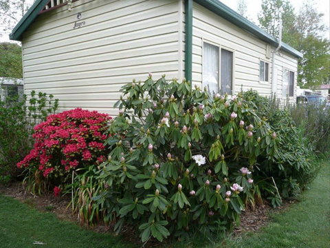 Jenolan Caravan Park - Accommodation Cooktown 0