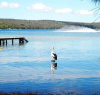 Dungowan Waterfront  Accommodation - Accommodation Cooktown