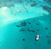 Ocean Free and Ocean Freedom - Cairns Premier Reef and Island Tours - Accommodation Cooktown