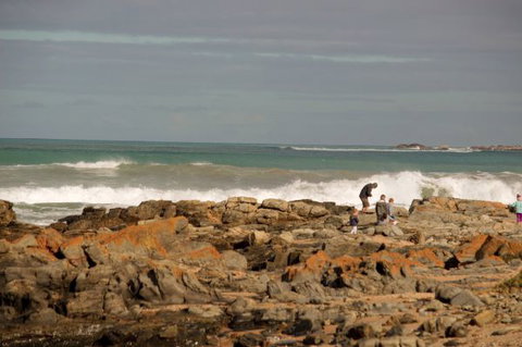 Norfolks - Accommodation Cooktown 7
