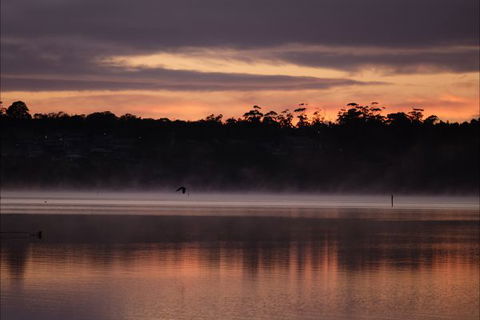 Eastcoaster Resort - Accommodation Cooktown 2