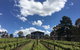 Mortimer's Accommodation Amongst The Vines - thumb 0