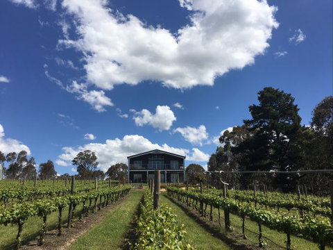 Mortimer's Accommodation Amongst The Vines - Accommodation Cooktown 0