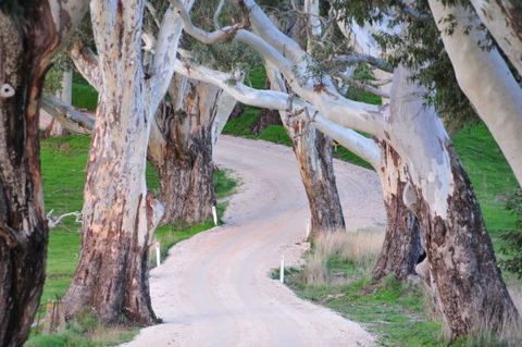 Barrenjoey Hideaway - Accommodation Cooktown 2