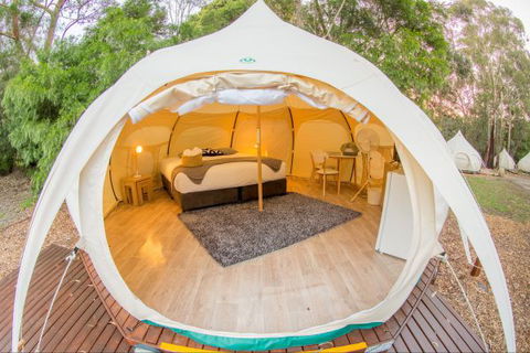 Yarra Valley Park Lane Glamping Belle Tents - Accommodation Cooktown 8
