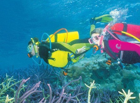 Njoy Travellers Resort - Accommodation Cooktown 1