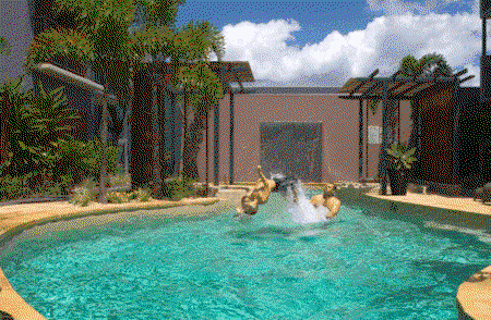 Southern Cross Atrium Apartments - Accommodation Cooktown 0