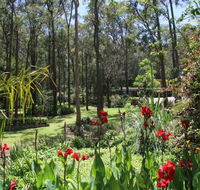 Werekataba - Accommodation Cooktown