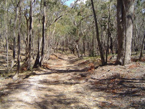 Bushmans Lookout - Accommodation Cooktown 3