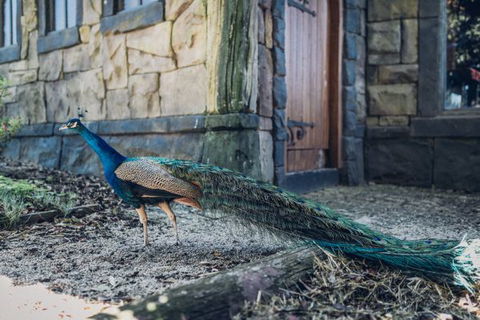 Castle Suites - Kryal Castle - Accommodation Cooktown 5