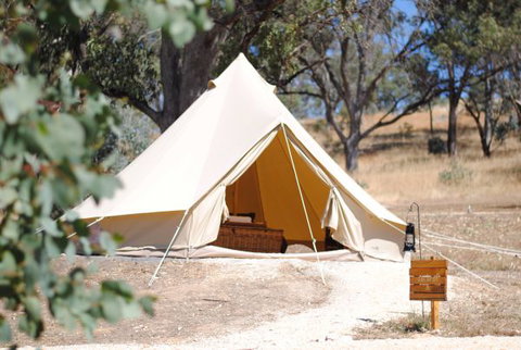 Cosy Tents - Accommodation Cooktown 0