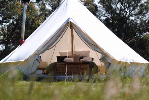 Cosy Tents - Accommodation Cooktown 4