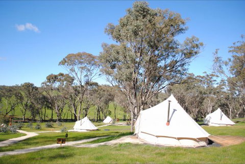 Cosy Tents - Accommodation Cooktown 5
