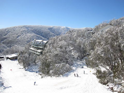 Falls Creek Country Club - Accommodation Cooktown 2