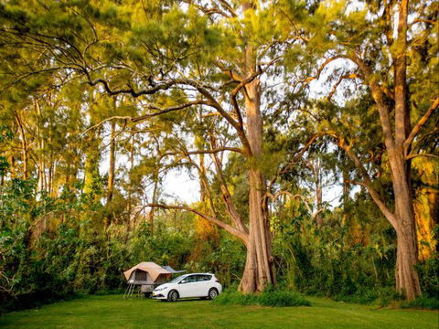 Ingenia Holidays Nepean River - Accommodation Cooktown 1