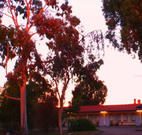 Murray Bridge Central Olympic Motel and Cottages - Accommodation Cooktown