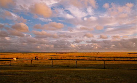 Sanctuary@Waratah - Accommodation Cooktown 8
