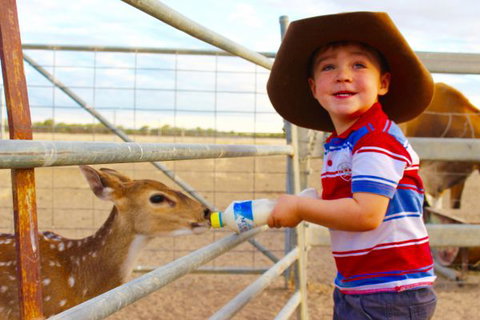 Shandonvale Station - Accommodation Cooktown 9