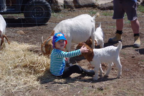 Yalooka Farm - Accommodation Cooktown 3