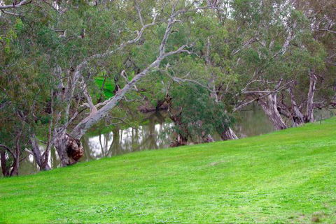 Yalooka Farm - Accommodation Cooktown 4