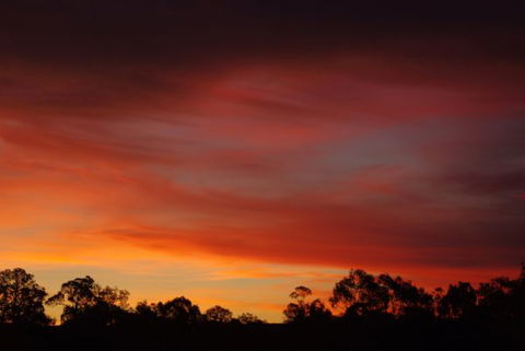 Yalooka Farm - Accommodation Cooktown 5